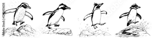 Hand-drawn vector illustration of a penguin jumping off rocks into the water during a sunny day in a coastal habitat