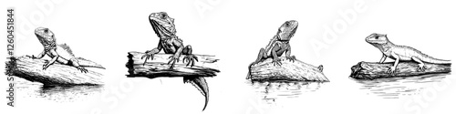 Hand-drawn vector illustration of lizards on logs near water in a natural setting