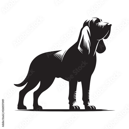 Elegant and noble Bloodhound silhouette for creative applications - Bloodhound illustration - minimal Bloodhound vector - dog silhouette
