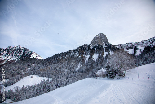 Snowy landscapes in Caux, above Montreux photo