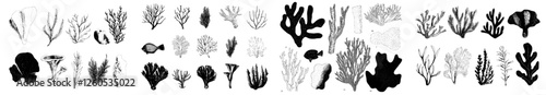 Contemporary assortment of manually illustrated ocean flora and coral reef components