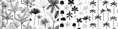 A seamless background featuring a palm tree, along with a tropical coconut palm and an exotic island, is depicted in a vintage hand-drawn abstract floral pattern