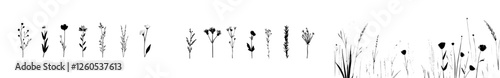 A collection of beautiful hand-drawn florals featuring leaves and branches is presented, along with a sketch collection of flowering plants and wild herbs