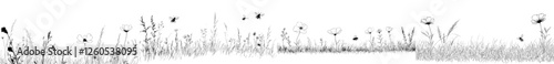 A hand-drawn doodle sketch style set of wild field flowers for a nature spring background, featuring modern illustrations of floral elements and garden grass fields