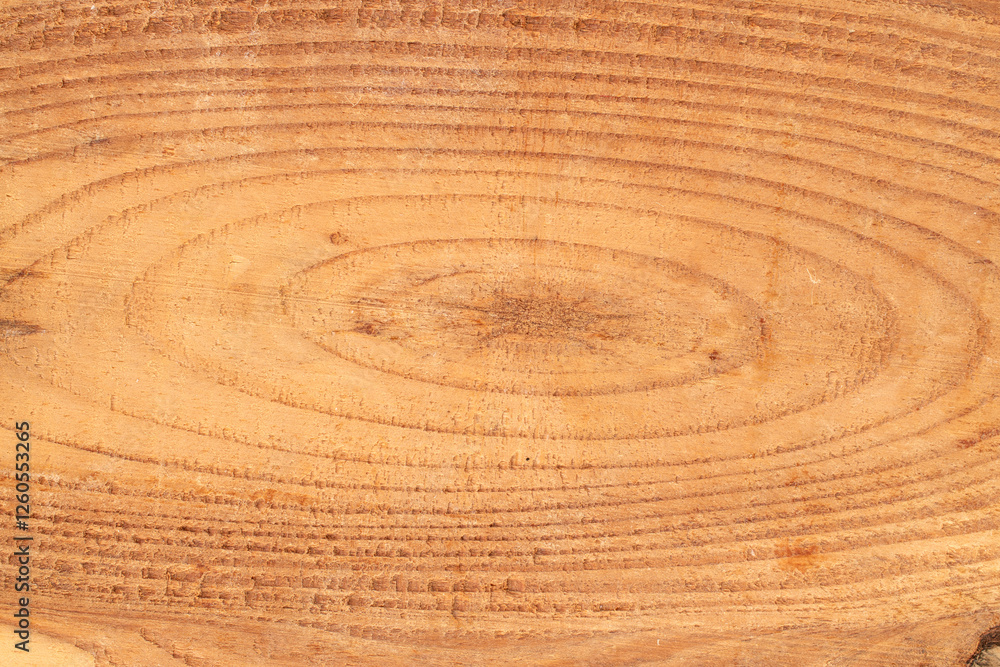 Fototapeta premium The structure of natural wood sawn into boards, macro, top view.