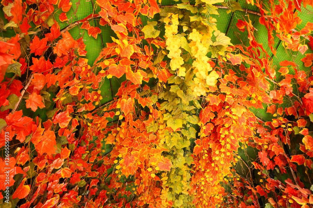 Autumnal Leaves Canopy: A Vibrant Display of Fall Colors