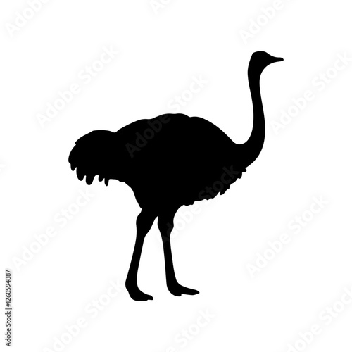 Ostrich silhouette vector flat illustration design on white background.