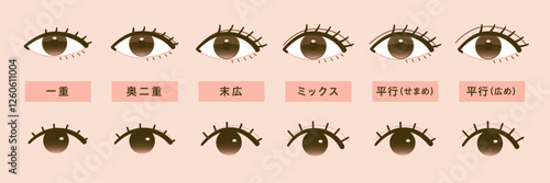 二重の種類のイラスト