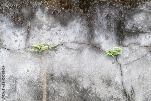 Concrete wall texture featuring cracks, stains, and weathered patterns. Perfect for backgrounds, graphic design, 3D modeling, and architectural visualization. Authentic raw material feel