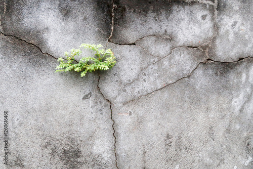 Concrete wall texture featuring cracks, stains, and weathered patterns. Perfect for backgrounds, graphic design, 3D modeling, and architectural visualization. Authentic raw material feel