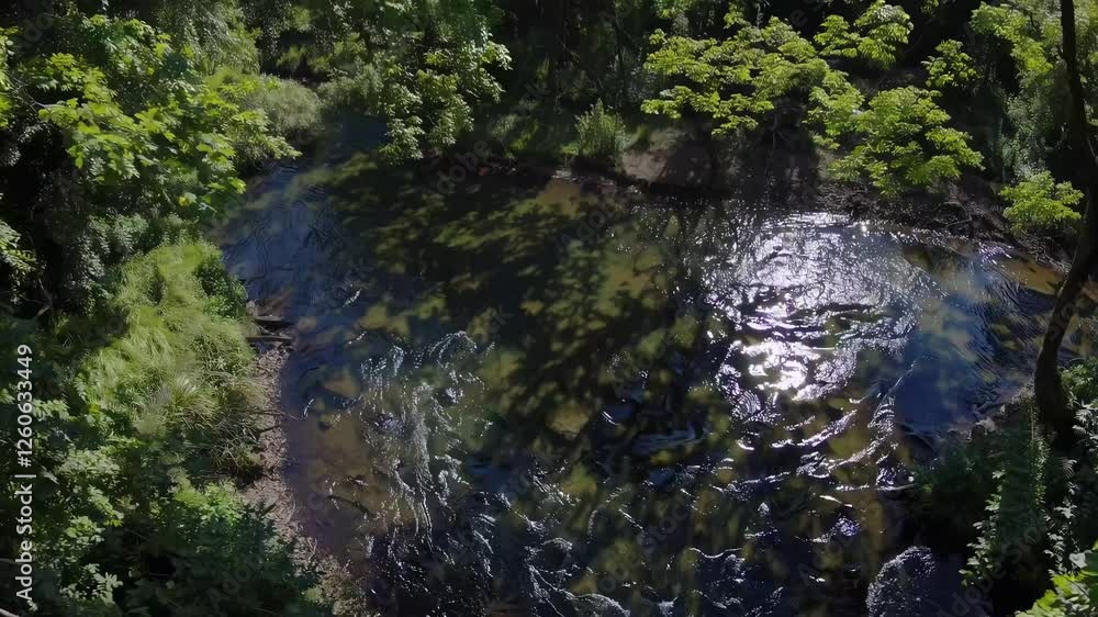 Aerial video of lush green forest under a clear blue sky, captured from a high angle, showcasing the vast expanse of vibrant trees and foliage. Aerial video of lush green forest under a clear blue sky, captured from a high angle, showcasing the vast expanse of vibrant trees and foliage.