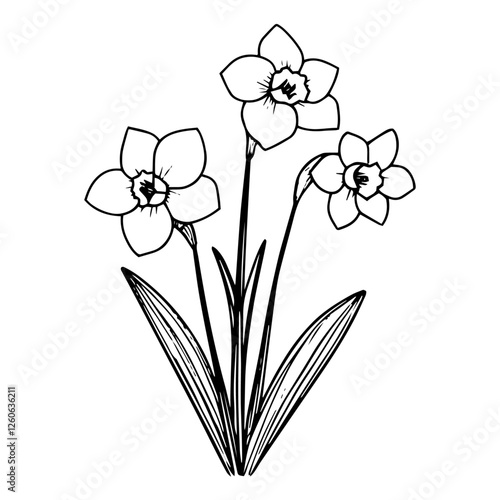 Vector illustration of an easter daffodil bouquet, hand-drawn sketch