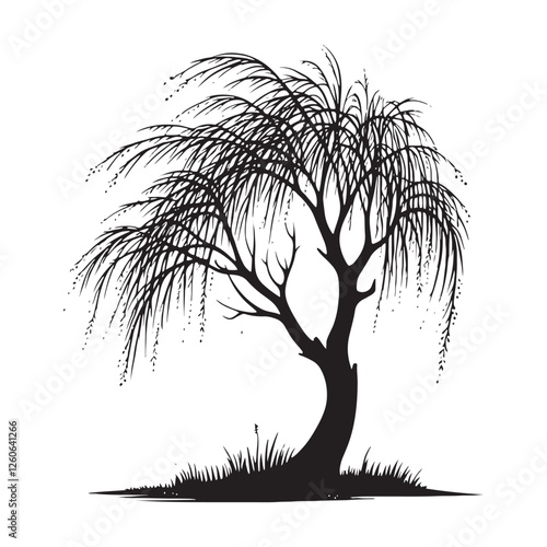 Dynamic Weeping Willow Tree silhouette with bold and refined strokes - Weeping Willow tree illustration - Weeping Willow tree vector - Weeping Willow silhouette
