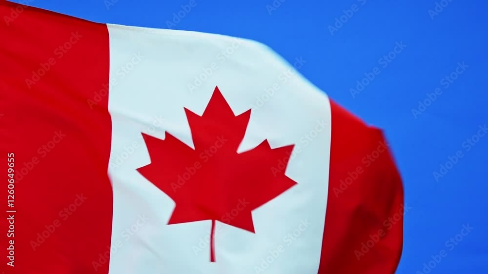Slow motion video of Canada flag waving on blue background Slow motion video of Canada flag waving on blue background