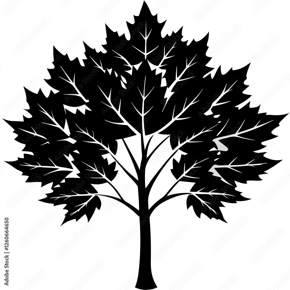 Obraz premium Maple tree silhouette vector illustration.