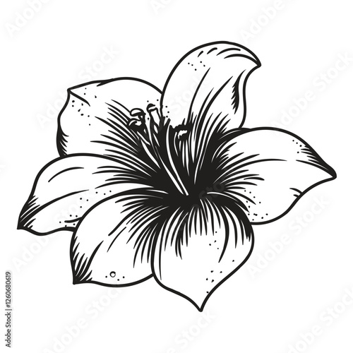 Garden flower. Linear vector drawing isolated on a white background.