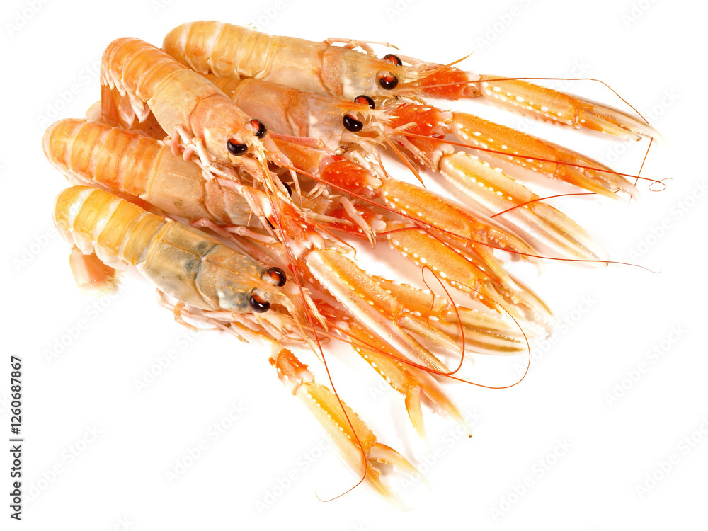 Imperial Garnet, Nephrops Norvegicus on white Background Imperial Garnet, Nephrops Norvegicus on white Background
