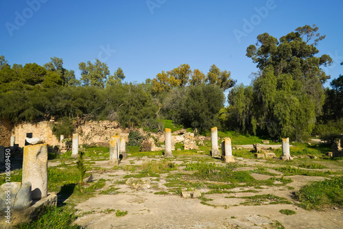 Il complesso archeologico con i resti delle Terme di Antonino, Area archeologica di Cartagine, Cartagine, Tunisia, Nord Africa photo