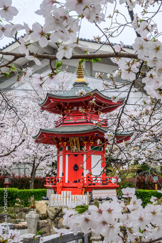 Kiyujima Benzaiten, a striking red pagoda, stands serene amidst a breathtaking display of cherry blossoms at Shitenno-ji Temple in Osaka, Japan. Sign translates to 