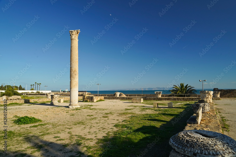 Il complesso archeologico con i resti delle Terme di Antonino, Area archeologica di Cartagine, Cartagine, Tunisia, Nord Africa Il complesso archeologico con i resti delle Terme di Antonino, Area archeologica di Cartagine, Cartagine, Tunisia, Nord Africa