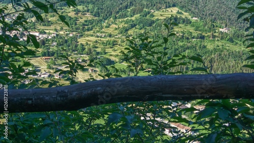 Nature in Bezzecca, Trento (Italy)