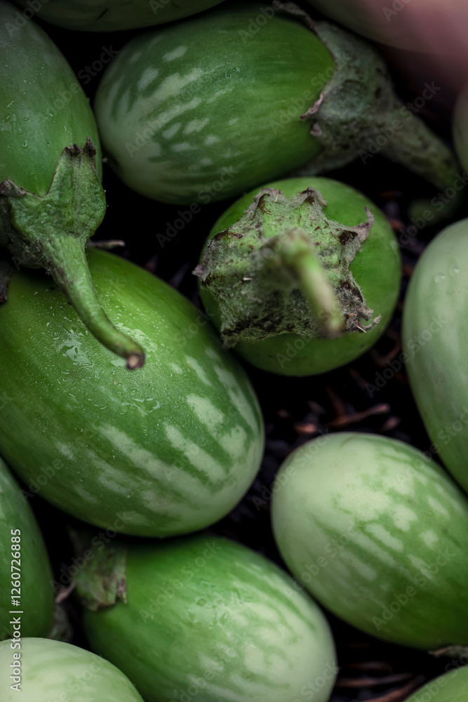 Green aubergines (Thai aubergines) in a basket Green aubergines (Thai aubergines) in a basket