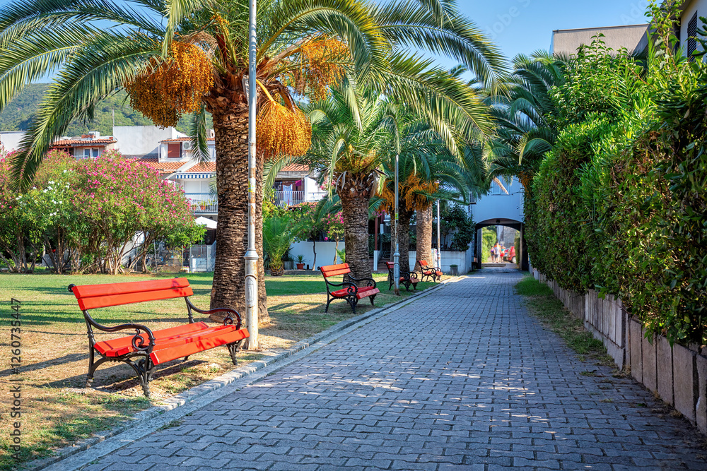 Lush palm trees lining a serene walkway on a sunny day in a vibrant park