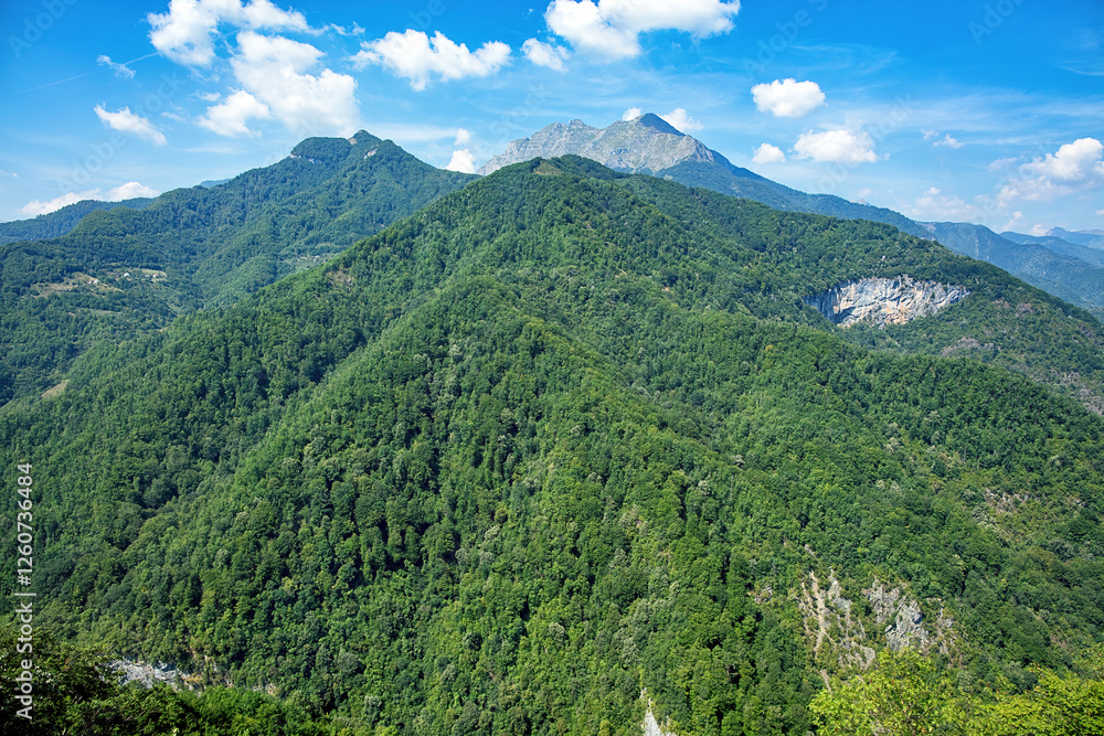 Majestic mountain range under a bright blue sky with lush green forests