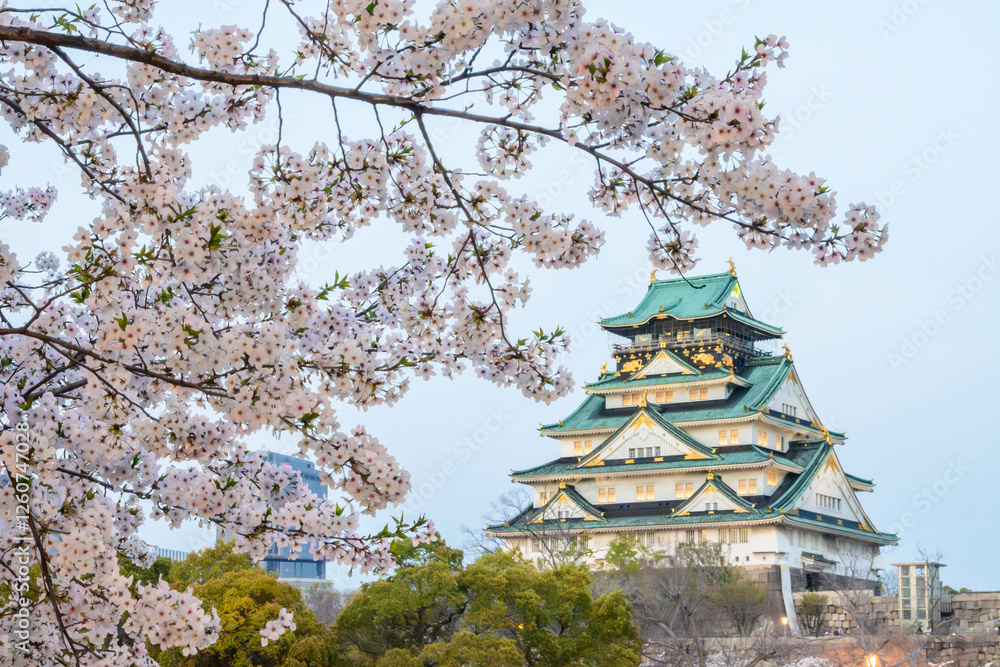 Cherry blossoms in full bloom frame Osaka Castle, a 16th century masterpiece of Japanese architecture. The castle's green roof and stone walls stand in contrast to the delicate pink and white flowers Cherry blossoms in full bloom frame Osaka Castle, a 16th century masterpiece of Japanese architecture. The castle's green roof and stone walls stand in contrast to the delicate pink and white flowers
