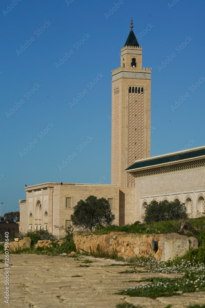 Fototapeta premium La monumentale moschea Malik Ibn Anas, Cartagine. TUNISIA