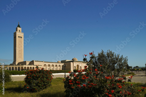 La monumentale moschea Malik Ibn Anas, Cartagine. TUNISIA photo