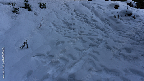 Winter in the mountains