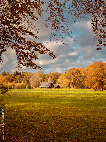 Obraz na płótnie A house in an autumn forest with colorful trees and foliage w salonie