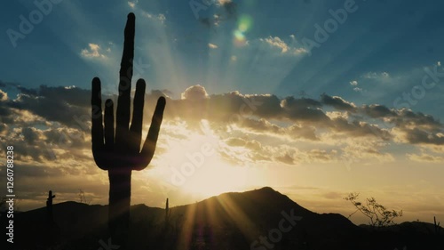 Saguaro Cactus Silhouette in Front of Sunrise Timelapse
