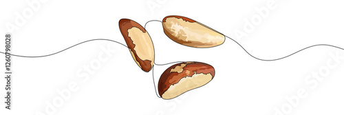 A digital illustration of three Brazil nuts with a minimalist style, featuring smooth lines and a clean. Vector illustration
