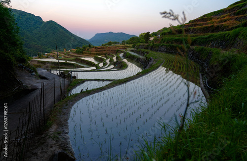Wallpaper Mural Sunset at Nakayama Senmaida, the terraced rice fields in Shodoshima, Kagawa, Shikoku, Japan, with seedlings transplanted in an orderly pattern in the paddies & the mountain standing under twilight sky Torontodigital.ca