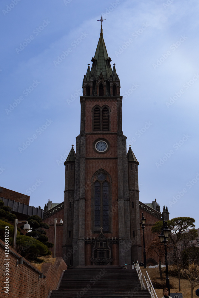 Fototapeta premium 하늘을 향해 솟아있는 명동 성당의 웅장한 모습