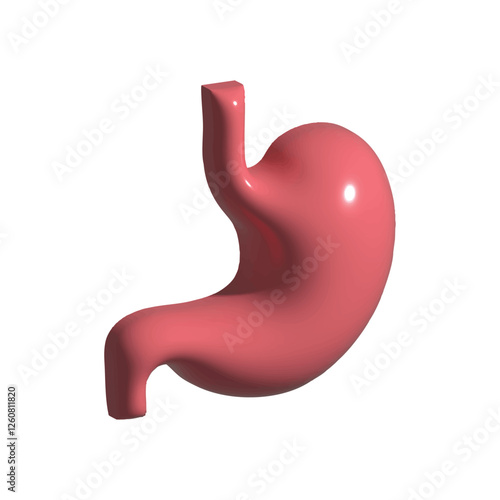 Human Stomach 3d render. Internal organ, 3d human gastrointestinal tract. Stomach pain and heartburn symbol. Digestive disease. Gastritis and acid reflux concept.Vector illustration isolated on white.