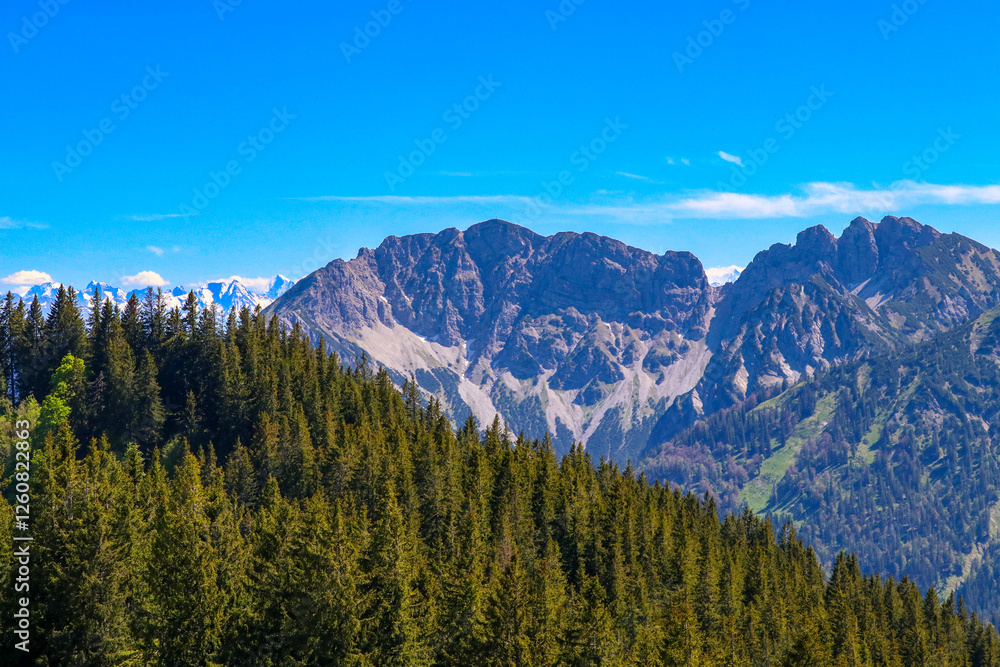 Mountain View in the German Alps Mountain View in the German Alps