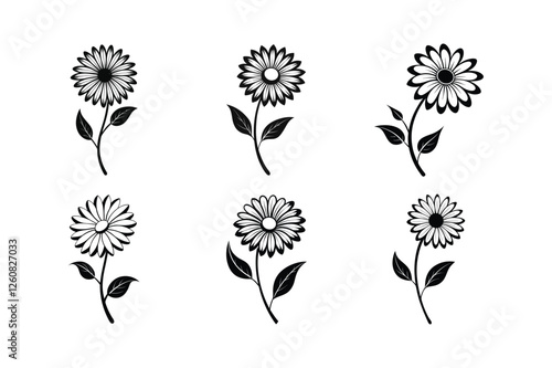 Daisy (Bellis perennis) silhouette vector illustration
