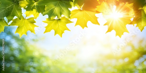 Bright Sunny Day Vibrant Green Maple Leaves in Springtime Nature Background