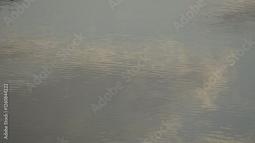 The beautiful city of Kansas, with all its spectacular buildings