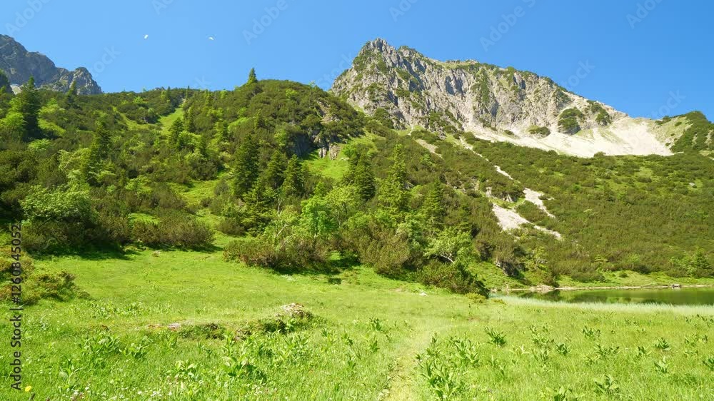 Feel the calming effect of a crystal-clear mountain lake with fresh green surroundings, clean air, and the soothing atmosphere of nature for ultimate relaxation. Feel the calming effect of a crystal-clear mountain lake with fresh green surroundings, clean air, and the soothing atmosphere of nature for ultimate relaxation.