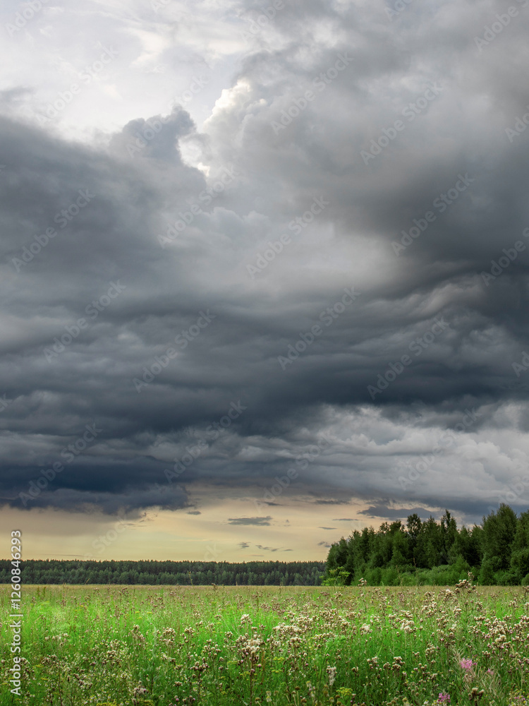 Field of flowers is in the foreground of a cloudy sky Field of flowers is in the foreground of a cloudy sky