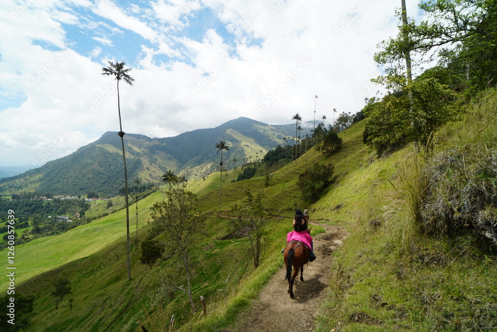 Fototapeta premium Cocora, Colombia, Landscape
