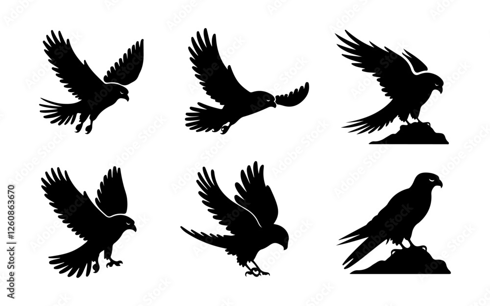 Obraz premium Powerful Hawk & Eagle Silhouette Set – Perfect for Logos, Prints and Digital Arts 