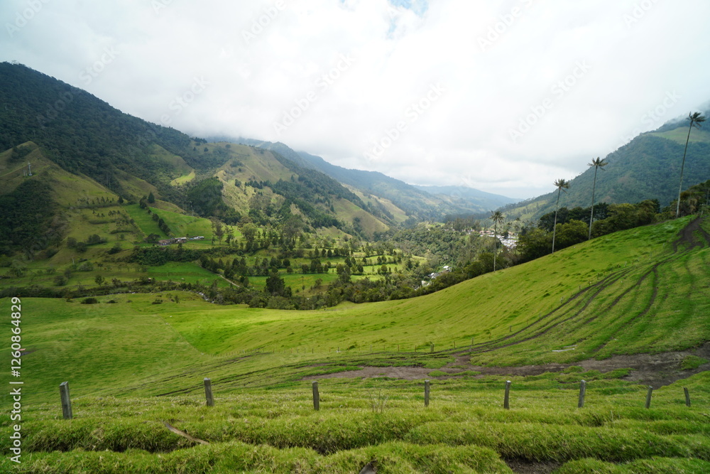 Fototapeta premium Cocora, Colombia