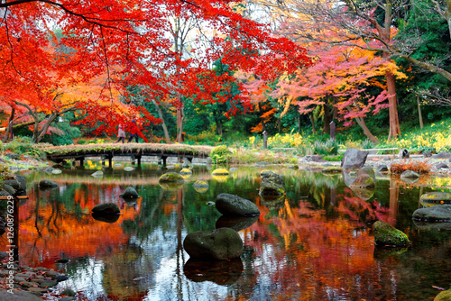 Photography Scenery of fiery maple trees & colorful autumn leaves reflected in the peaceful