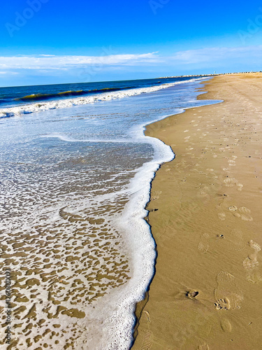 sandy beach in the summer