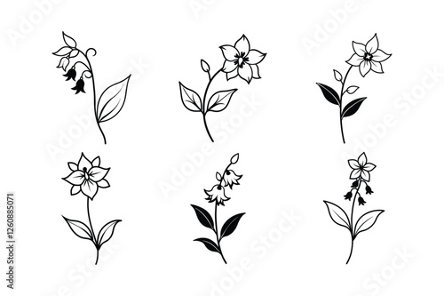 Delphinium (Delphinium spp.) line art vector illustration